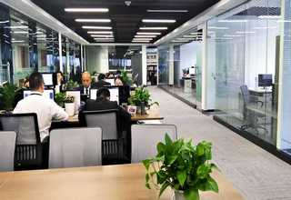 成都欧式夹丝玻璃设计多少钱