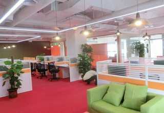 专业生产土笋冻供应商